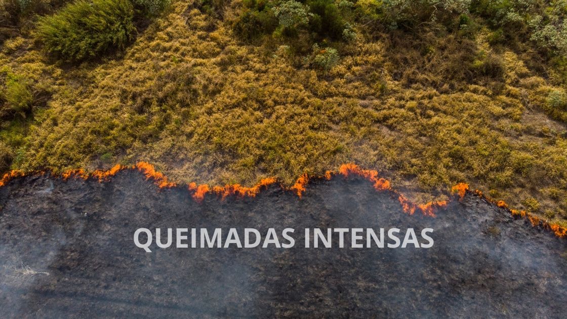 Alerta de novos focos de queimadas na Bahia e Piauí preocupa especialistas