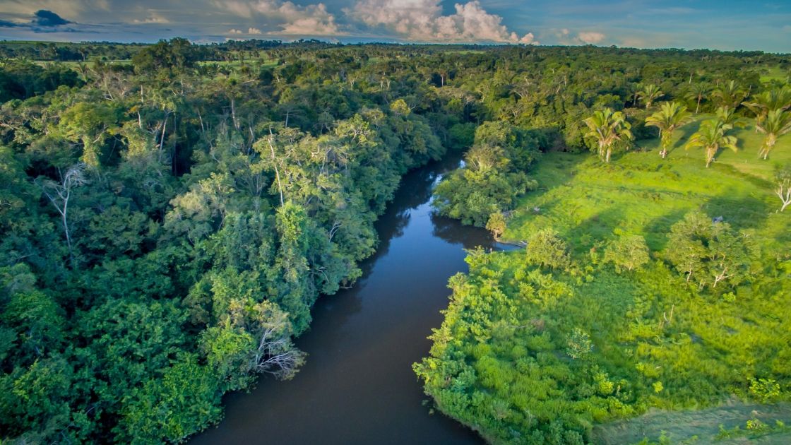 Combater as Mudanças Climáticas: Meu Papel na Luta pelo Futuro