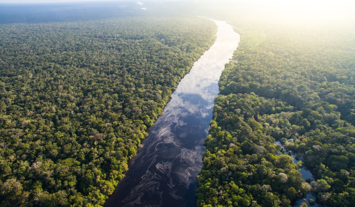 Preocupação dos brasileiros com a mudança climática segue alta: Como enfrentar os desafios ambientais?