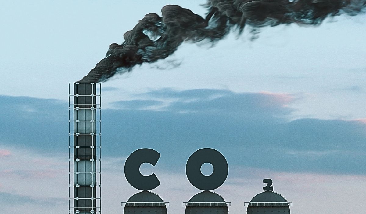 Entenda o que São Créditos de Carbono: Compensando as Emissões de Gases de Efeito Estufa