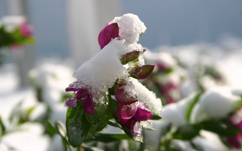 Inverno em Portugal